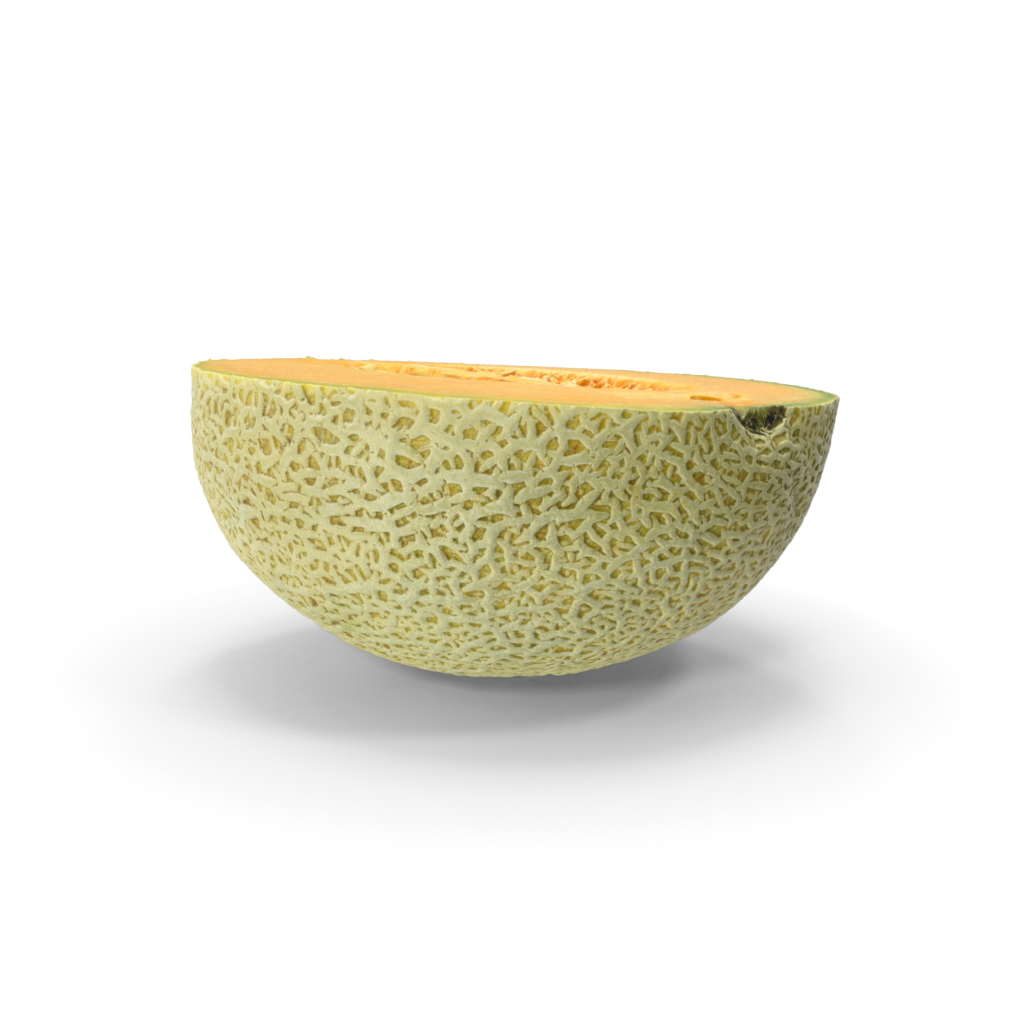 Half Melon.H03.2k