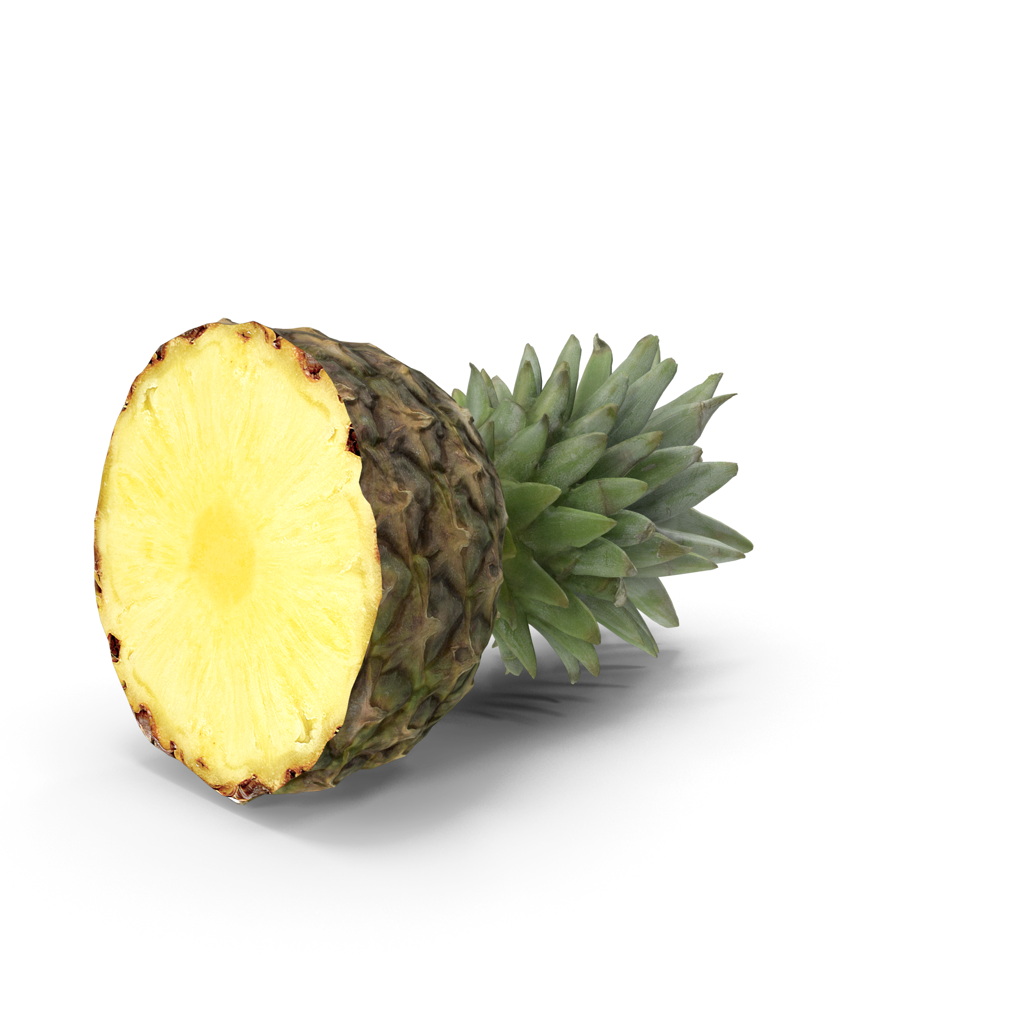 Pineapple Slice.H03.2k